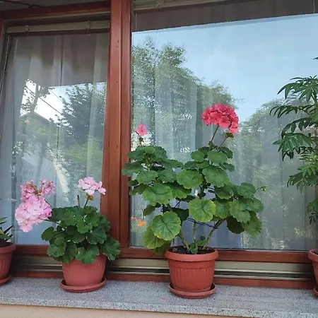Apartman Hadzibeg