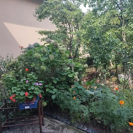 Apartman Hadzibeg