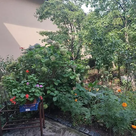 Apartman Hadzibeg