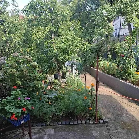 Apartment Apartman Hadzibeg *