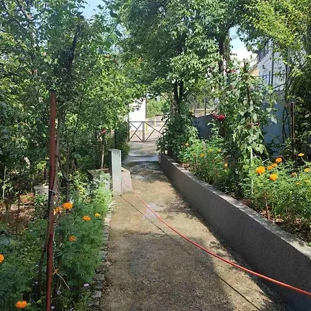 Apartman Hadzibeg *