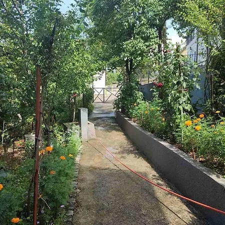 Apartman Hadzibeg *